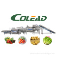 COLEAD Automatic vegetable processing line/salad/IQF salad production line